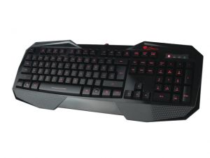 Z13700_25021